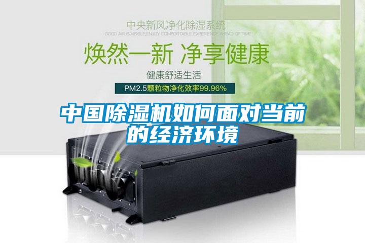 中國除濕機(jī)如何面對當(dāng)前的經(jīng)濟(jì)環(huán)境