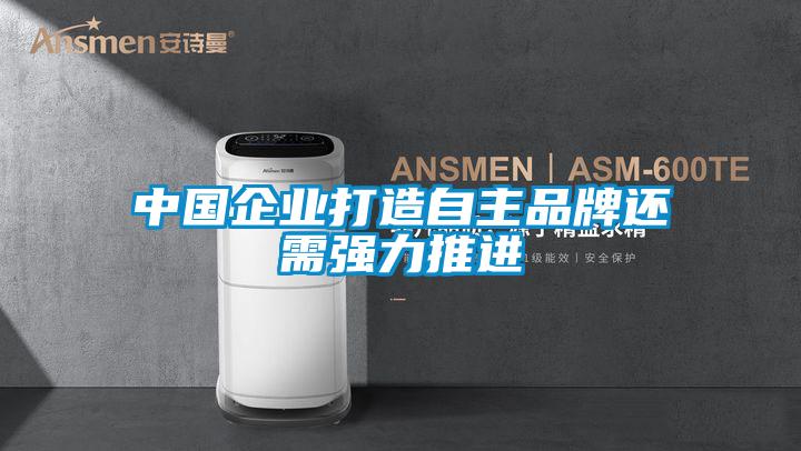 中國企業打造自主品牌還需強力推進