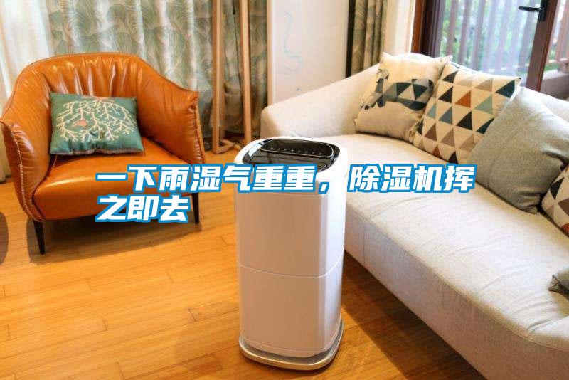 一下雨濕氣重重，除濕機揮之即去