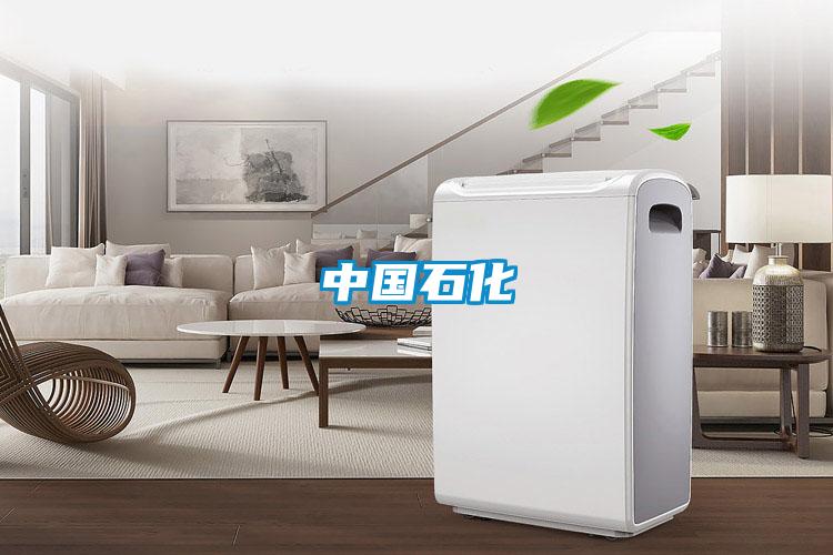 中國石化