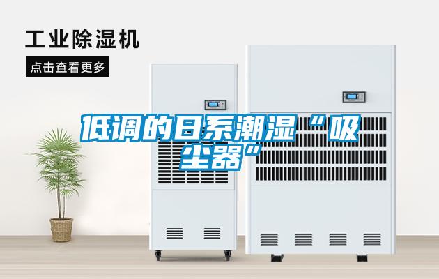 低調的日系潮濕“吸塵器”