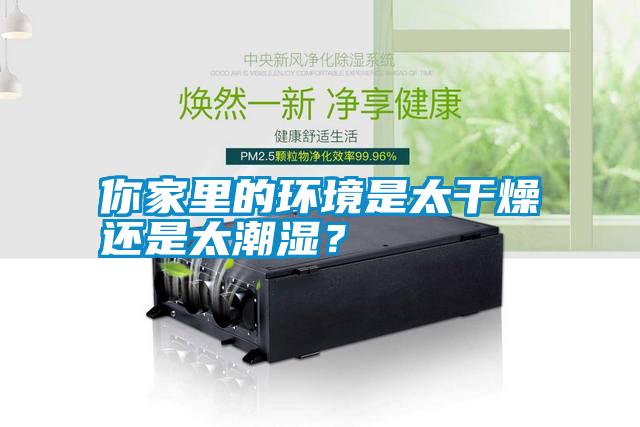 你家里的環境是太干燥還是太潮濕？