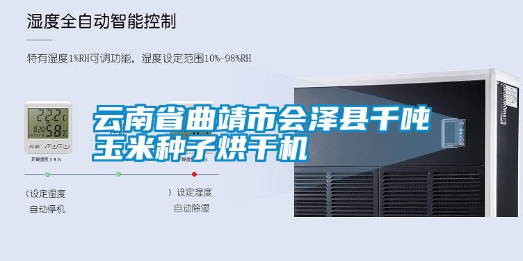 云南省曲靖市會澤縣千噸玉米種子烘干機