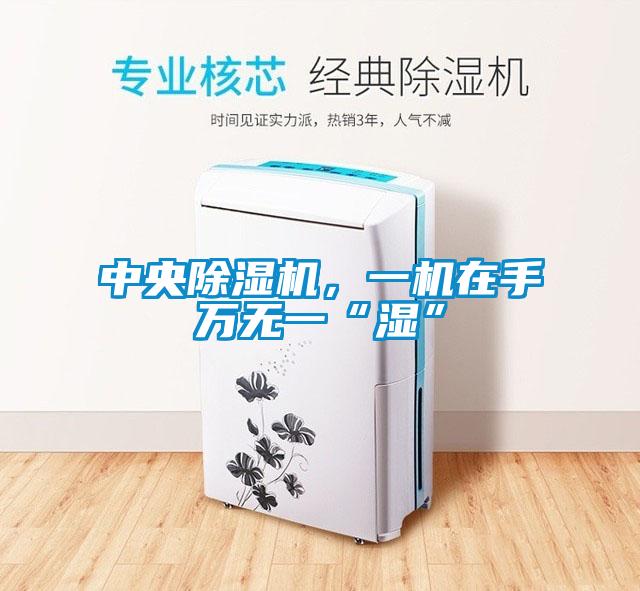 中央除濕機(jī)，一機(jī)在手萬(wàn)無(wú)一“濕”