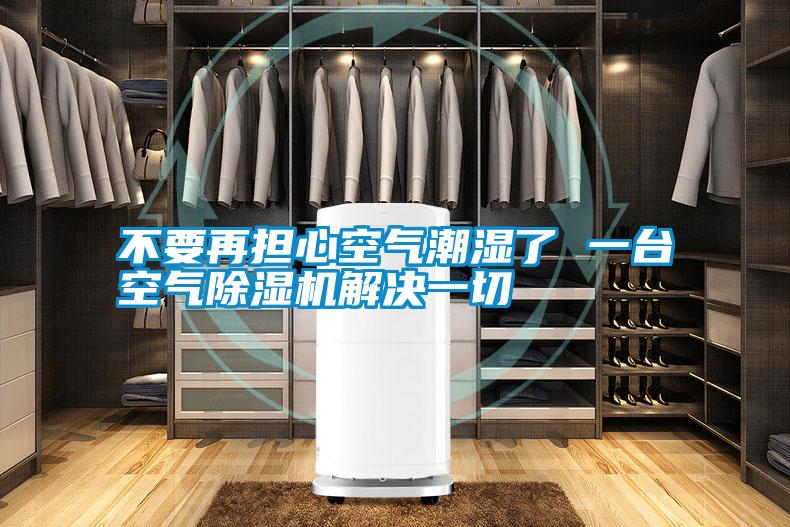 不要再擔心空氣潮濕了 一臺空氣除濕機解決一切