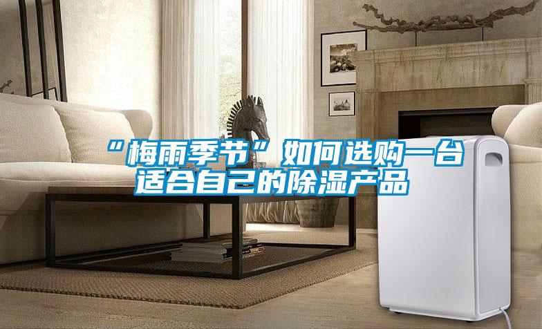 “梅雨季節(jié)”如何選購一臺適合自己的除濕產(chǎn)品