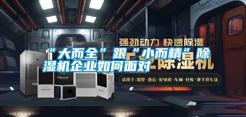 “大而全”跟“小而精”除濕機企業如何面對