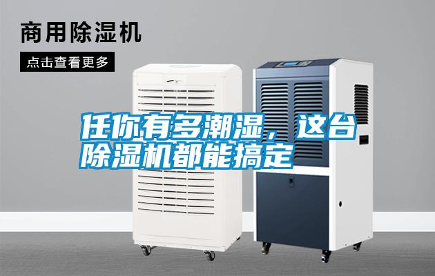 任你有多潮濕，這臺除濕機都能搞定