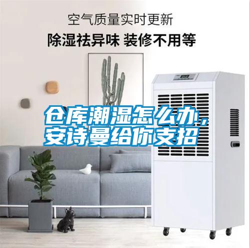 倉庫潮濕怎么辦，安詩曼給你支招