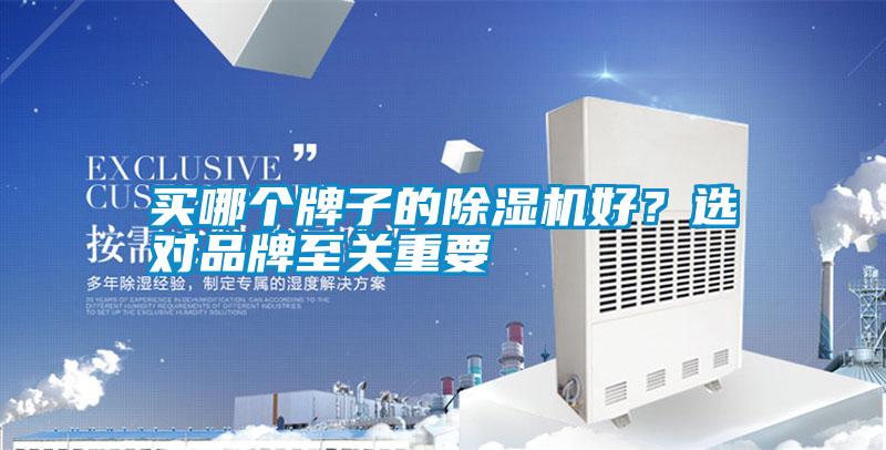 買哪個牌子的除濕機好？選對品牌至關重要