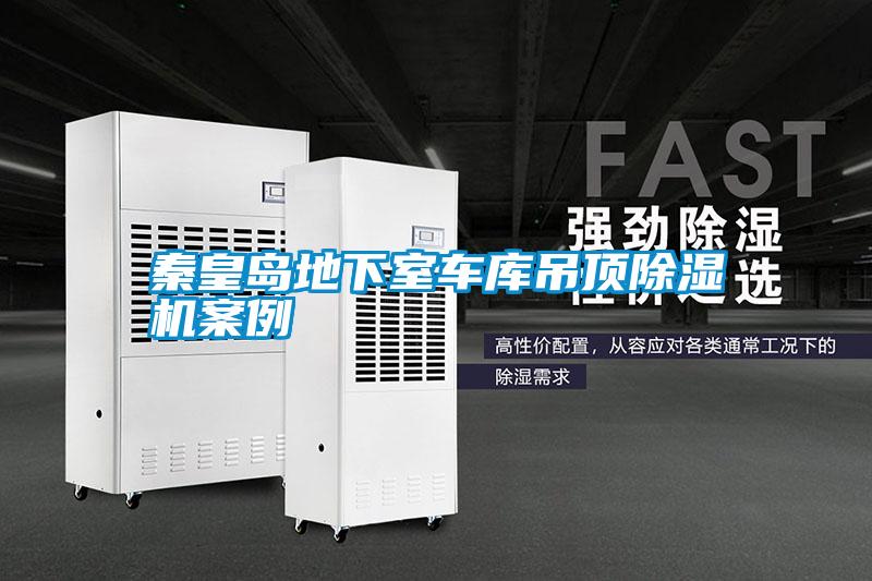 秦皇島地下室車庫吊頂除濕機(jī)案例
