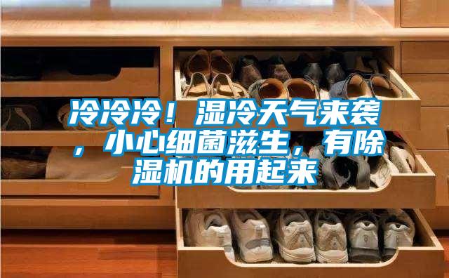 冷冷冷！濕冷天氣來襲，小心細菌滋生，有除濕機的用起來