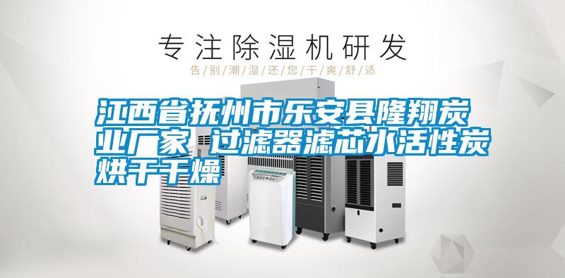 江西省撫州市樂安縣隆翔炭業廠家 過濾器濾芯水活性炭烘干干燥