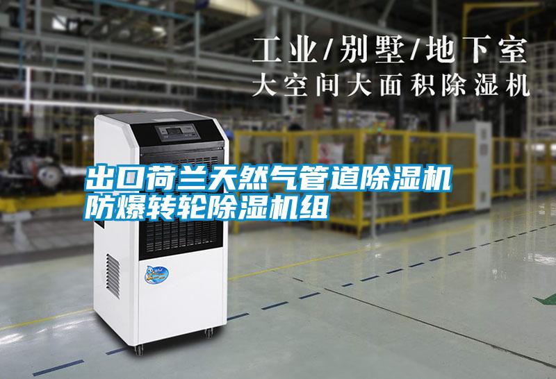 出口荷蘭天然氣管道除濕機 防爆轉輪除濕機組