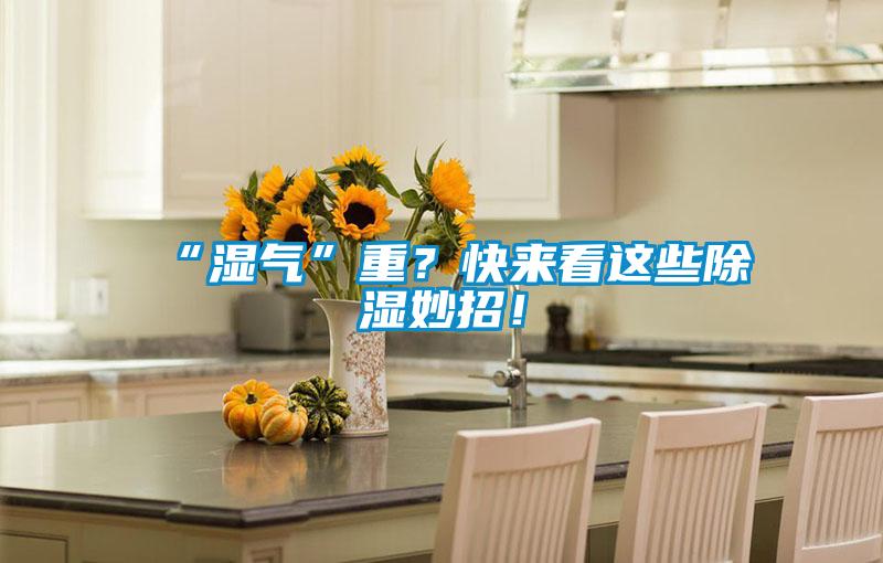“濕氣”重？快來看這些除濕妙招！