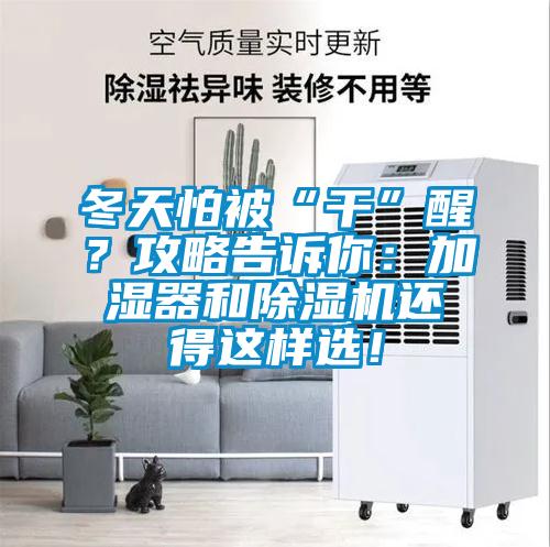 冬天怕被“干”醒？攻略告訴你：加濕器和除濕機還得這樣選！
