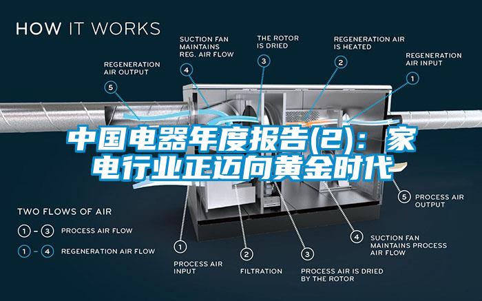 中國電器年度報告(2)：家電行業正邁向黃金時代