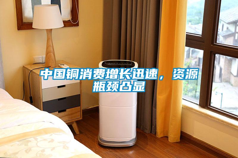 中國銅消費增長迅速，資源瓶頸凸顯