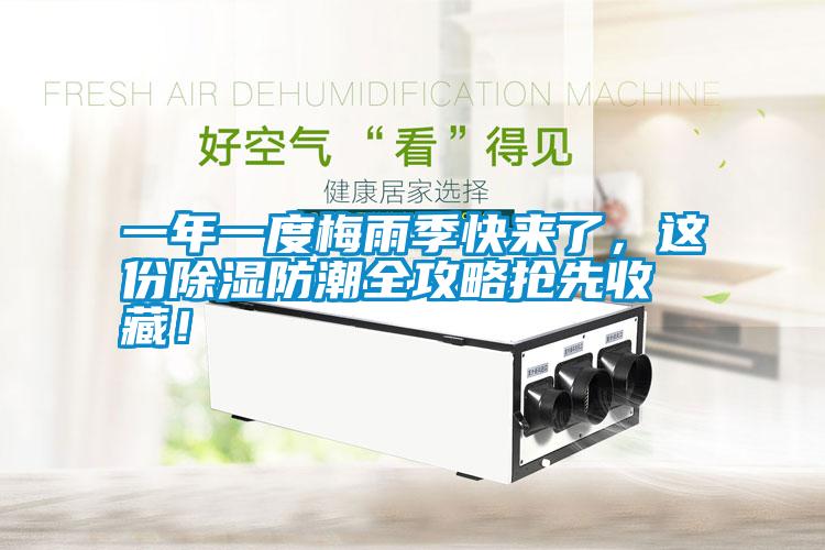 一年一度梅雨季快來了，這份除濕防潮全攻略搶先收藏！