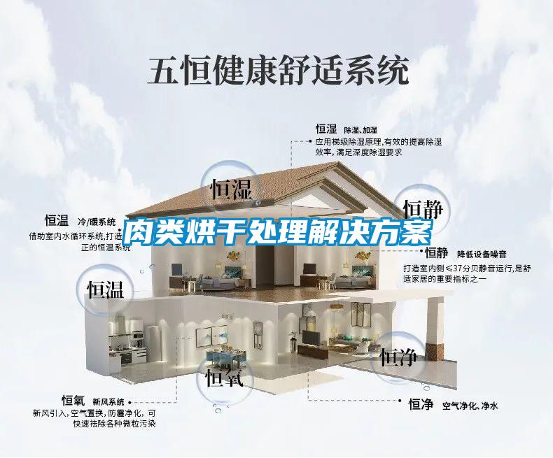 肉類烘干處理解決方案