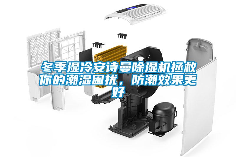 冬季濕冷安詩曼除濕機拯救你的潮濕困擾，防潮效果更好