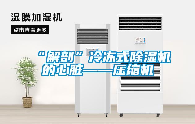 “解剖”冷凍式除濕機的心臟——壓縮機