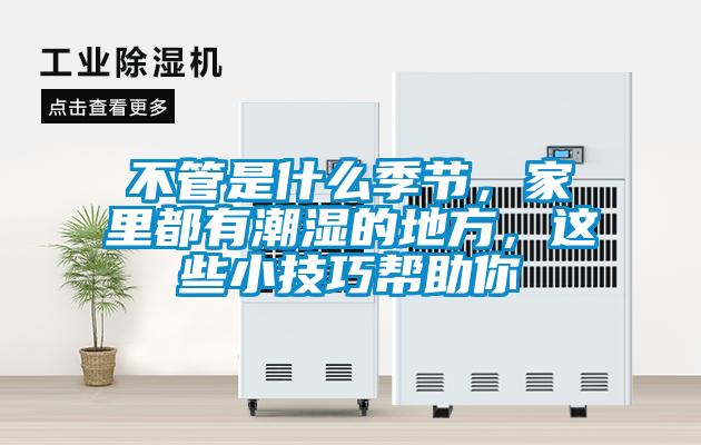 不管是什么季節，家里都有潮濕的地方，這些小技巧幫助你