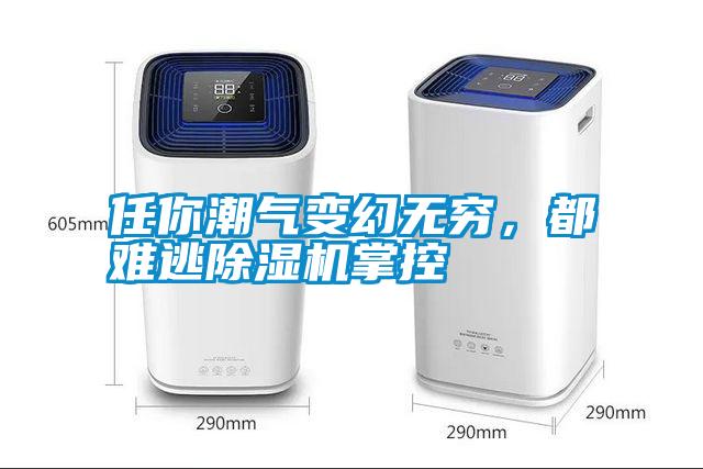 任你潮氣變幻無窮，都難逃除濕機(jī)掌控