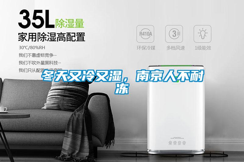 冬天又冷又濕，南京人不耐凍