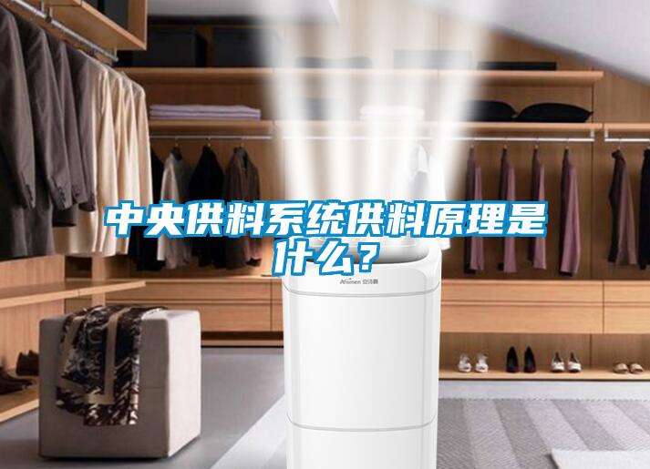 中央供料系統供料原理是什么？