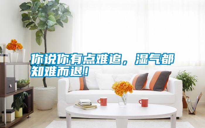你說你有點難追，濕氣都知難而退！
