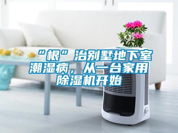 “根”治別墅地下室潮濕病，從一臺家用除濕機開始