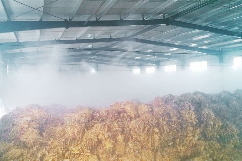 提升煙葉加工質量，高效回潮很重要