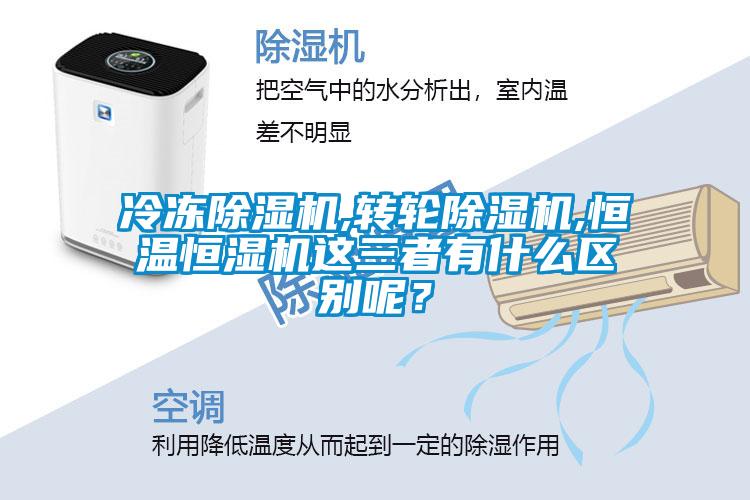 冷凍除濕機,轉輪除濕機,恒溫恒濕機這三者有什么區別呢？