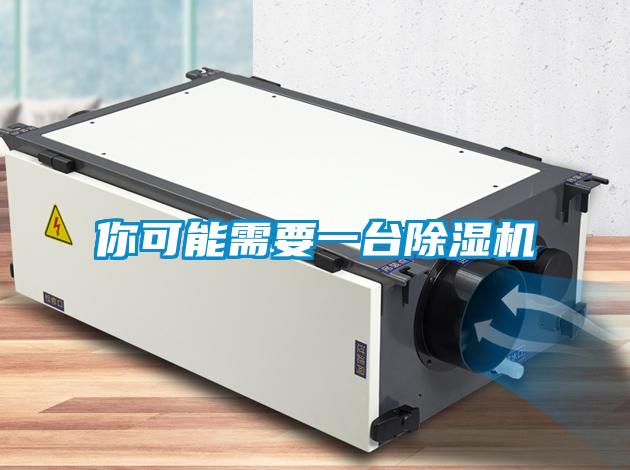 你可能需要一臺除濕機