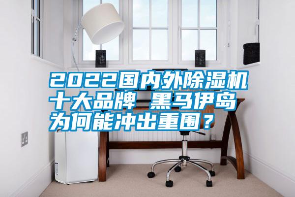 2022國內外除濕機十大品牌 黑馬伊島為何能沖出重圍？