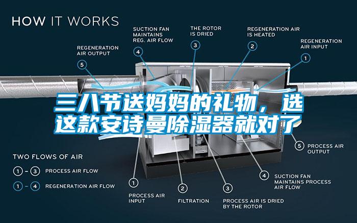 三八節(jié)送媽媽的禮物，選這款安詩(shī)曼除濕器就對(duì)了
