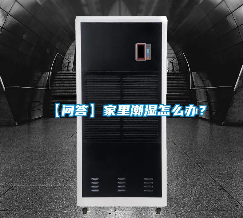 【問答】家里潮濕怎么辦？