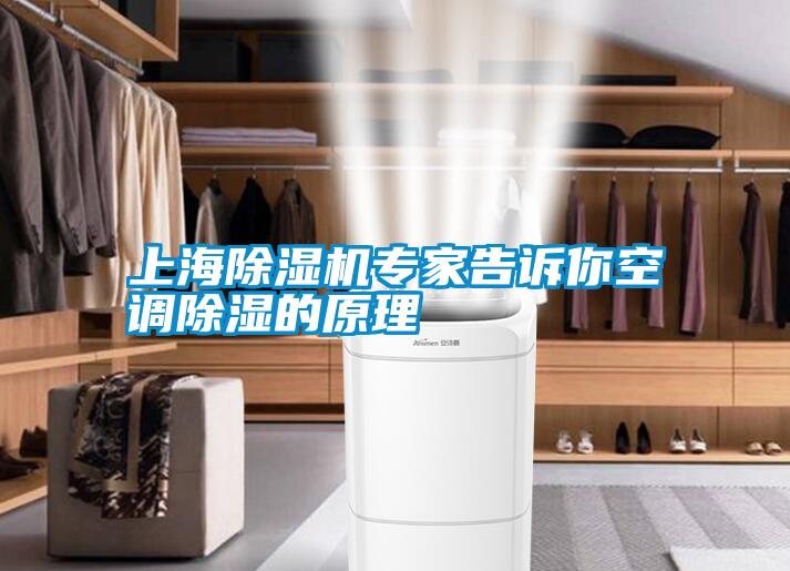 上海除濕機(jī)專家告訴你空調(diào)除濕的原理