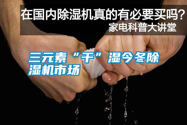 三元素“干”濕今冬除濕機(jī)市場(chǎng)