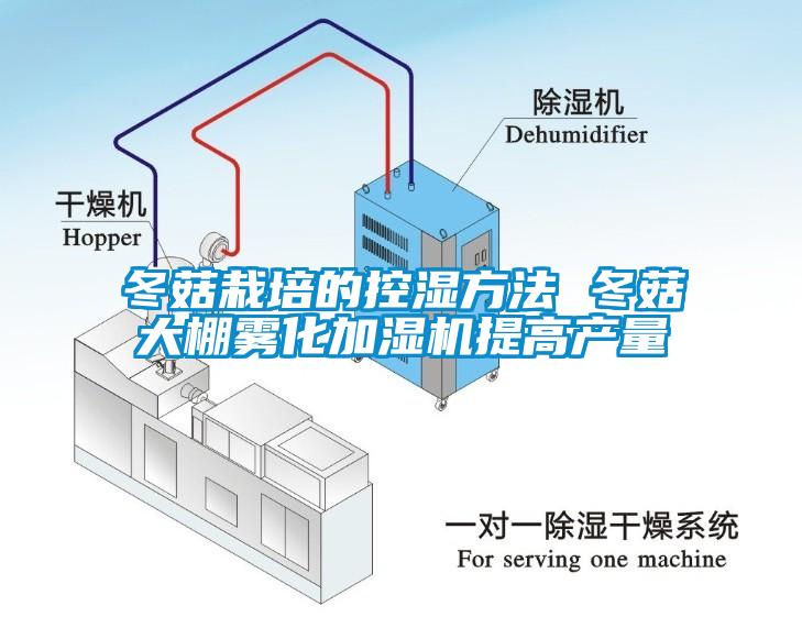 冬菇栽培的控濕方法 冬菇大棚霧化加濕機提高產量