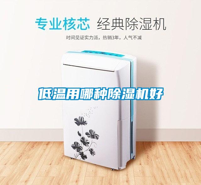 低溫用哪種除濕機好
