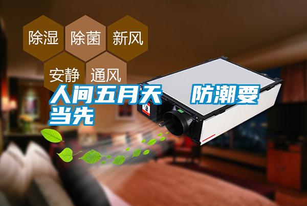 人間五月天  防潮要當(dāng)先