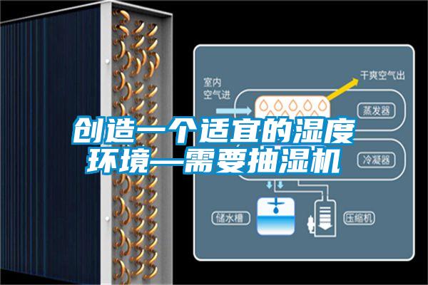 創造一個適宜的濕度環境—需要抽濕機