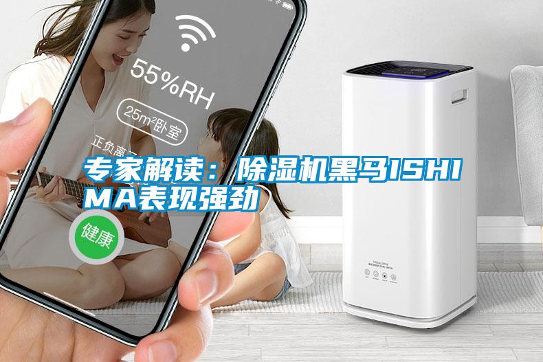 專家解讀：除濕機(jī)黑馬ISHIMA表現(xiàn)強(qiáng)勁