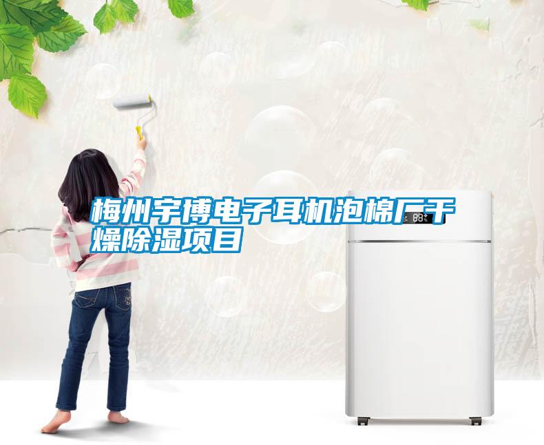 梅州宇博電子耳機泡棉廠干燥除濕項目