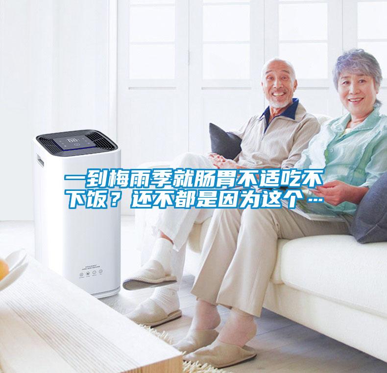 一到梅雨季就腸胃不適吃不下飯？還不都是因為這個…