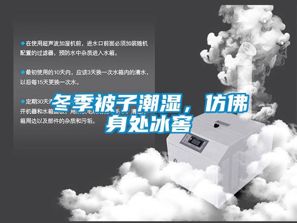 冬季被子潮濕，仿佛身處冰窖
