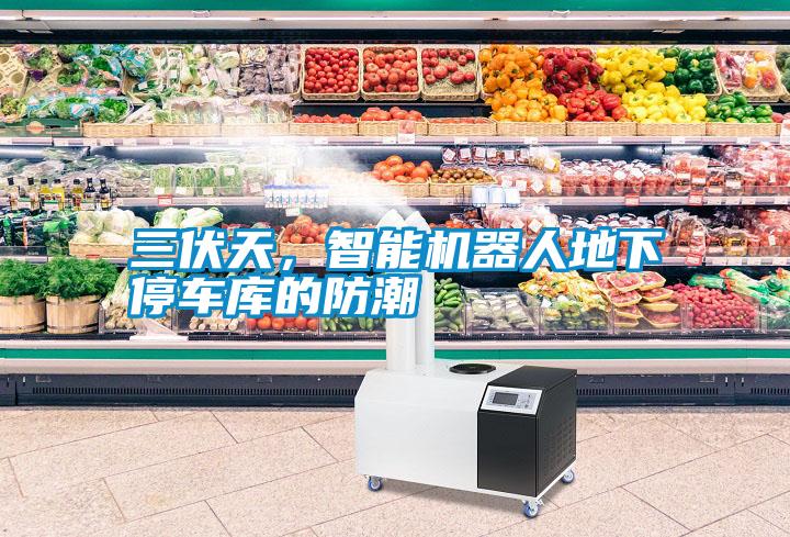 三伏天，智能機器人地下停車庫的防潮
