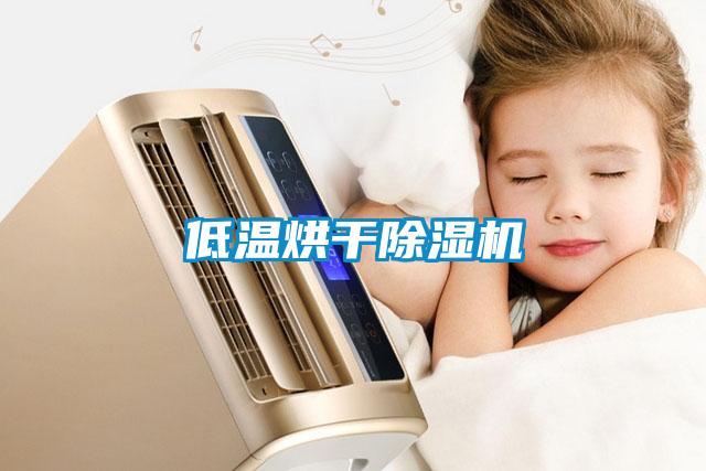 低溫烘干除濕機